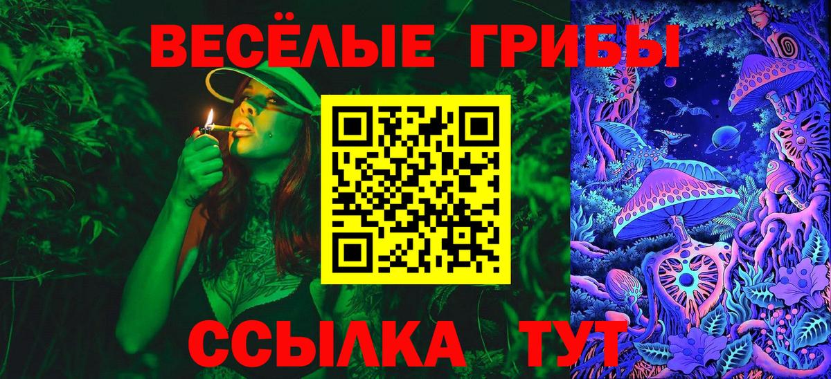 Псилоцибиновые грибы Psilocybine cubensis Пятигорск